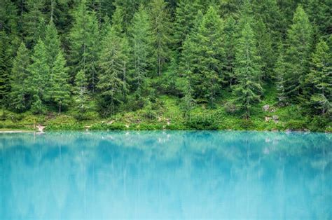 Forest And Turquoise Lake In The Dolomites Apls Italy Stock Photo