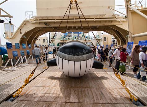 Deck Of The Japanese Whaling Ship Nishin Maru Editorial Photo Image