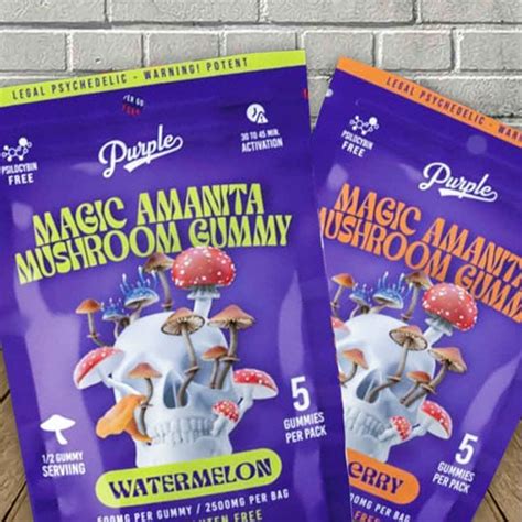 Purple Magic Amanita Mushroom Gummies 3000mg Great Cbd Shop