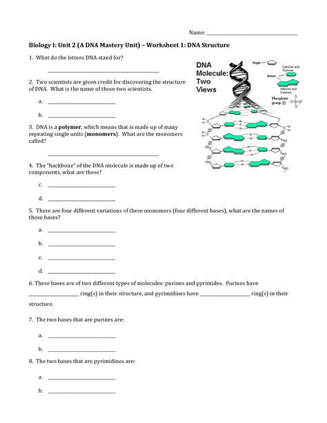 Ib dna structure replication review key 2 6 2 7 7 1. Dna The Molecule Of Heredity Worksheet Answers - worksheet