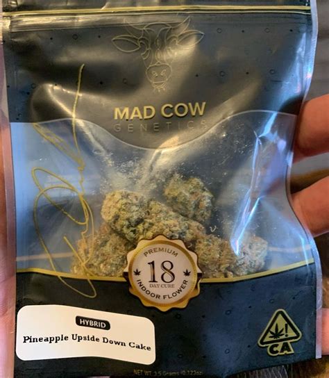 The strain sets the bar exceptionally high for the standard of unique organic compound pineapple upside down cake offers fruity terpenes that will have you craving the sweet nectar again and again. Strain Review: Pineapple Upside Down Cake by Mad Cow ...
