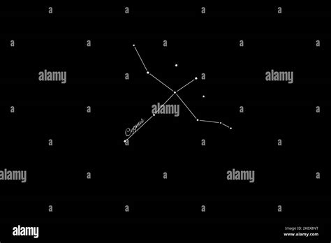 Cygnus Constellation Cluster Of Stars Swan Constellation Northern