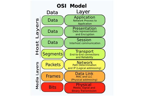 Osi Model Layers Explained In Computer Network Mysqlgame Hot Sex Picture
