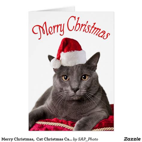 Merry Christmas Cat Christmas Card Merry Little Christmas Christmas