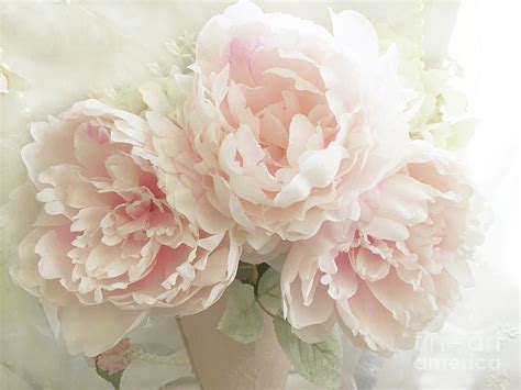 Shabby Chic Romantic Pastel Pink Peonies Floral Art Pastel Blush Pink