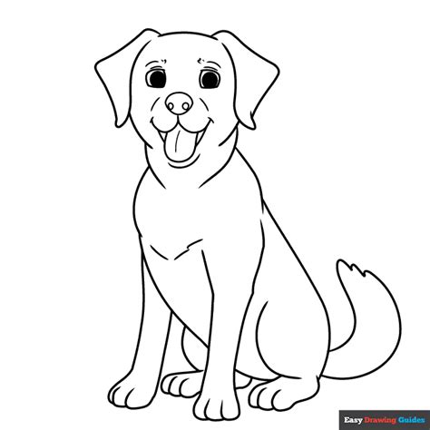 Labrador Coloring Page Easy Drawing Guides