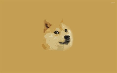 47 Doge Meme Wallpaper