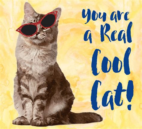 You Are A Real Cool Cat Free Cuddly Kitten Day Ecards Greeting Cards
