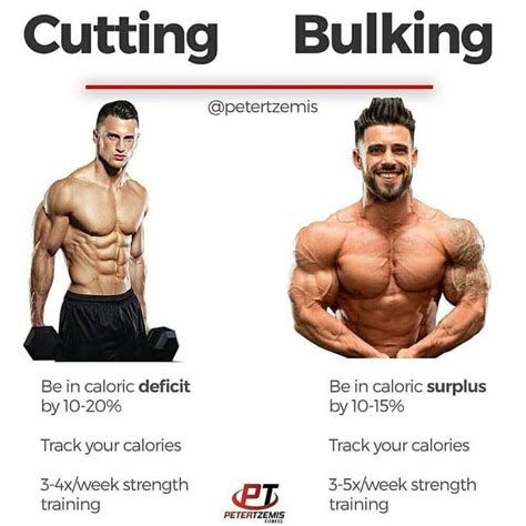 Bulking And Cutting At The Same Time