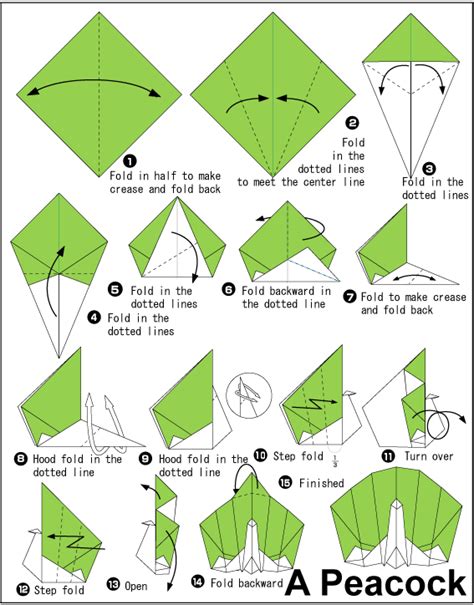 Origami Peacock - don't use card stock! (The only peacock ...