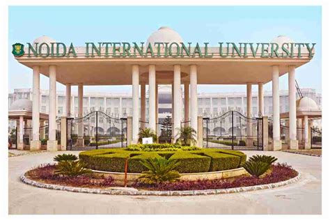 Noida International University Noida Fees Courses Placement In Hindi