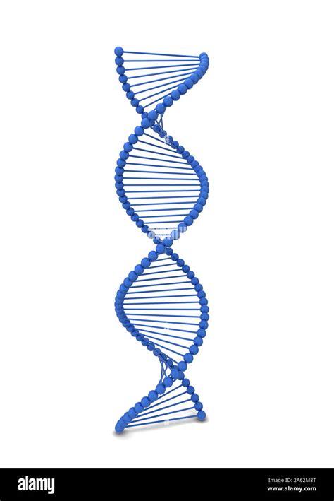 Dna Spiral 3d Illustration Isolated On White Background Stock Photo