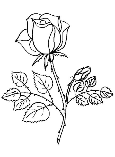 Dibujos A Lapiz Rosas Amor Para Dibujar Dibujos De Corazones Pdmrea