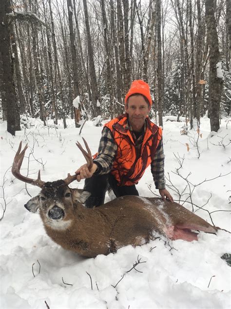 Maine Whitetail Deer Hunting Tylor Kelly Camps