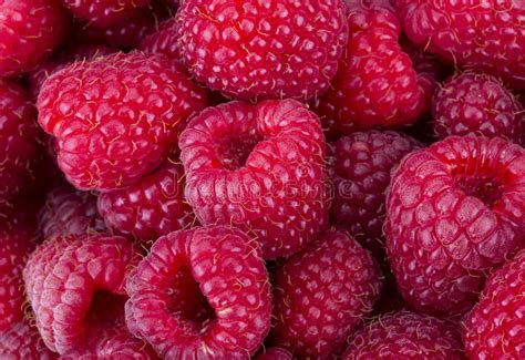 Raspberries Stock Image Image Of Closeup Berries Fruit 12162339