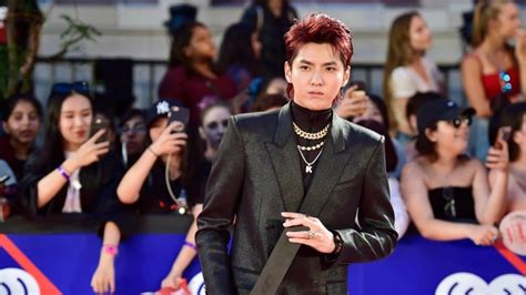 Chinese Canadian Pop Star Kris Wu Sentenced To 13 Years In China On