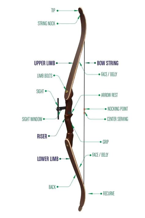 Best Recurve Bows For Beginners For Advanced Archers And For Hunting