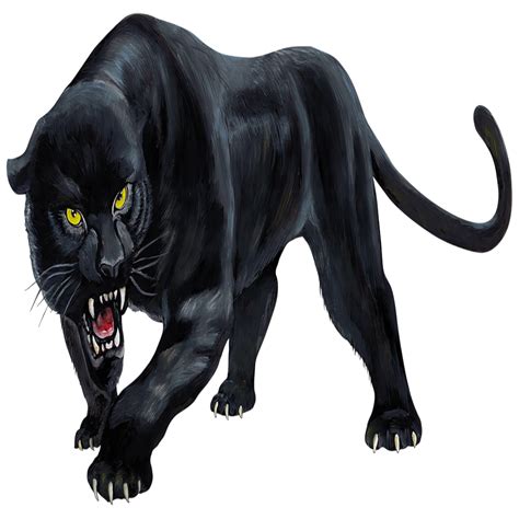 Panther Png Images Transparent Hd Photo Clipart