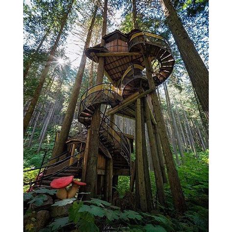 The Tallest Treehouse In Canada The Enchanted Forest Just Outside