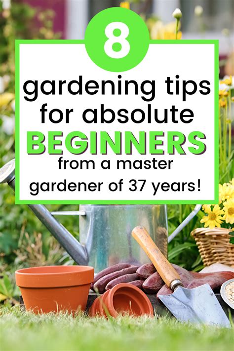 Gardening For Absolute Beginners Top Tips For Gardening Success