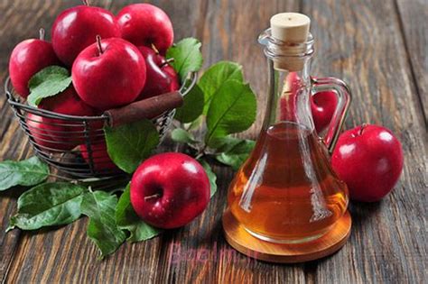 سرکه سیب آشنایی با خواص دارویی و درمانی سرکه سیب • باعلم