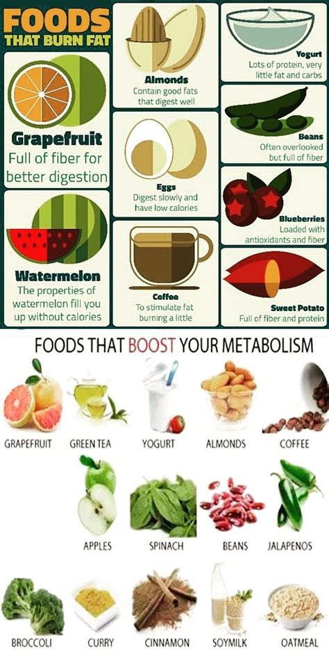 Foods That Burn Fat And Boost Your Metabolism Pictures