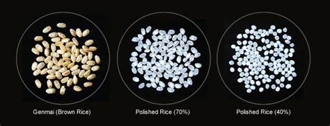 Arsenic is present in almost what is bad about arsenic? HAKUSHIKA | How to Enjoy Sake | Sake Ingredients