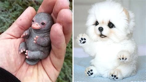 Cutest Baby Pets In The World Cute Animals Video Compilation Best