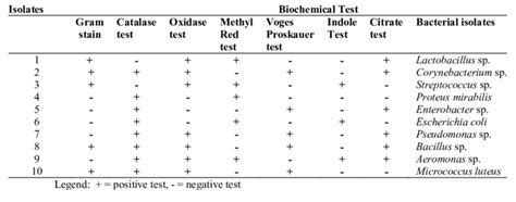 Biochemical Gram Negative Chart