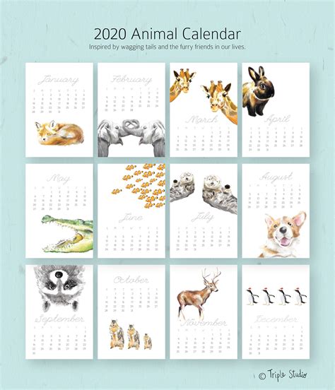 2020 2021 Calendar Animal Calendar Desk Calendar 5x7 Etsy