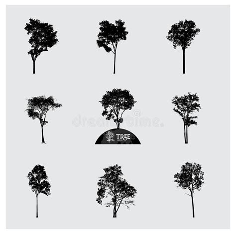Set Of Vector Tree Silhouettes Stock Vector Illustration Of Element