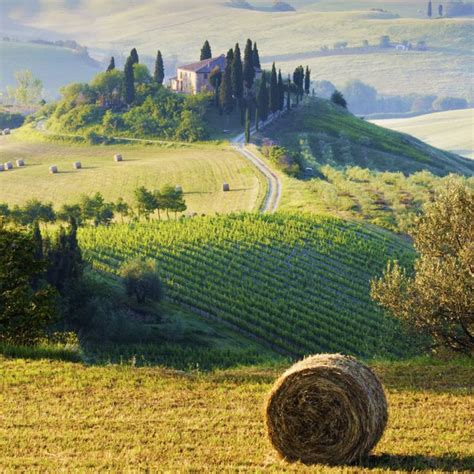 How To Make The Most Of Living In The Italian Countryside Italy