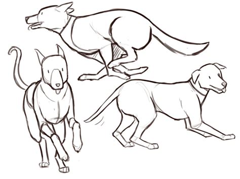 Running Dog Drawing Reference And Sketches For Artists