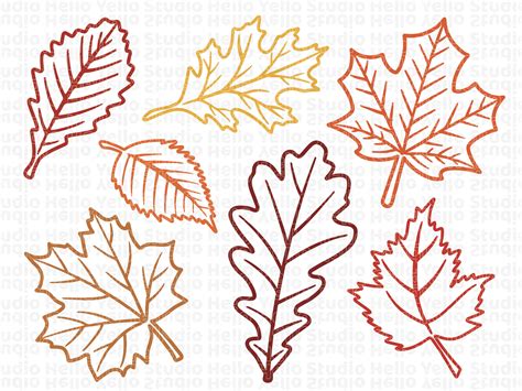 Laser Cut File Fall Leafe Svg Digital Cut File Glowforge Cricut Autumn