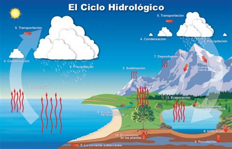 Evaporación Ciclo Del Agua Ecología Hoy