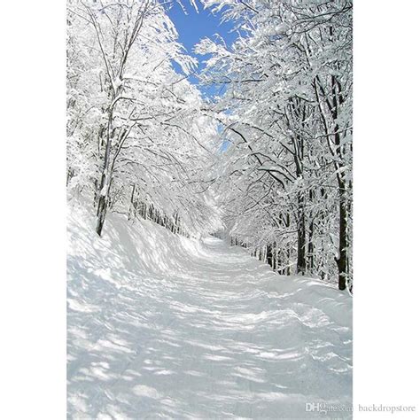 2019 White Snow Covered Road Trees Winter Photography
