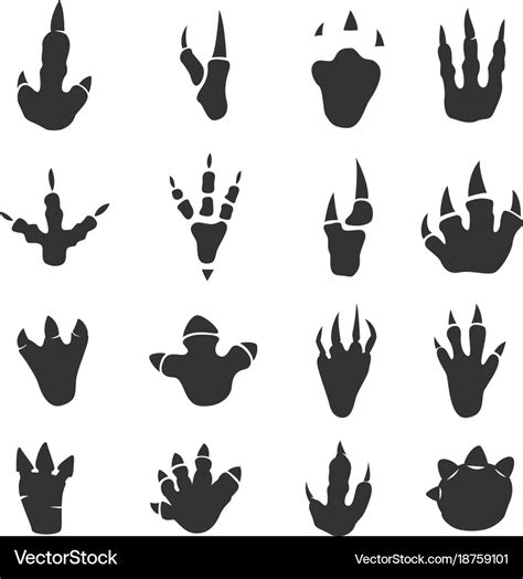 Dinosaur Footprints Collection On White Royalty Free Vector