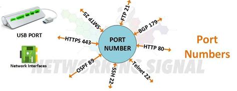 What Is Port Number And What Is Most Commonly Used In Networking