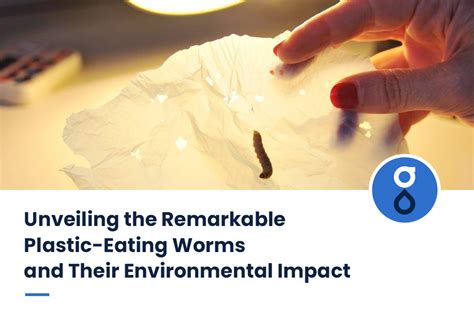 Unveiling The Remarkable Plastic Eating Worms And Their Environmental
