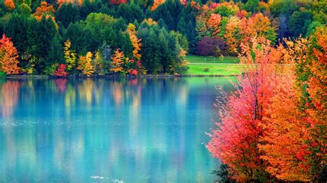 Beautiful Fall Scenery Yellow Red Green Trees Reflection On River Hd