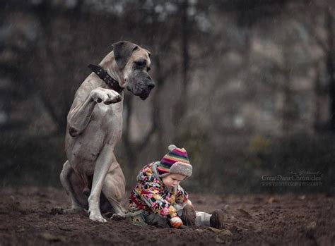 36 Truly Magical Photos Of Little Kids And Their Big Dogs
