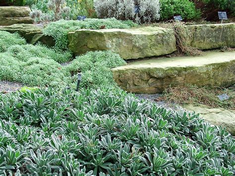 Controlling weeds in any size garden is a huge help. Kew Gardens