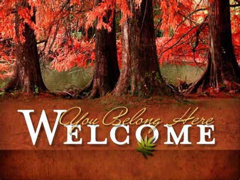 Fall Trees Welcome Video Loop Church Service Motion Video Loops