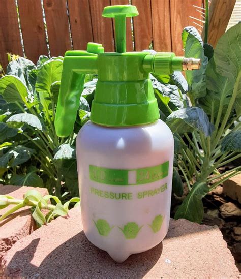 Watch the video and then make a batch of spray for your garden. Garlic Spray for Garden Pests