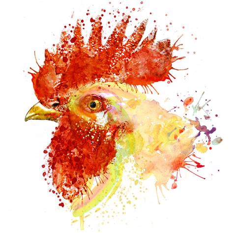 Rooster Head Painting By Marian Voicu Pixels