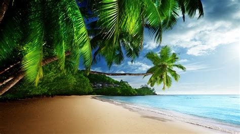 Tropical Beach Paradise 4k Ultra Hd Desktop Wallpaper