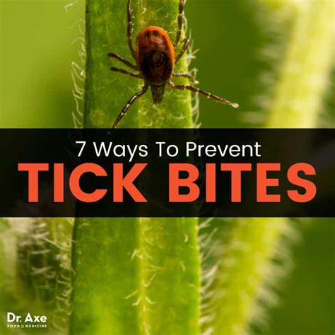 Powassan Virus 7 Ways To Prevent Tick Bites And Avoid This Infection