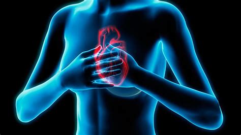 What Are The Symptoms Of A Heart Attack Everyday Health