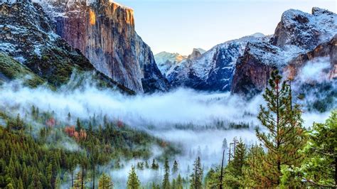 Tunnel View Of Foggy Yosemite Valley Yosemite National Park Backiee