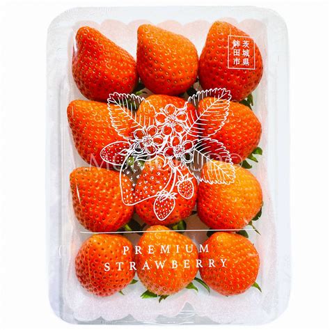 Japanese Hina Ichigo Strawberry — Momobud